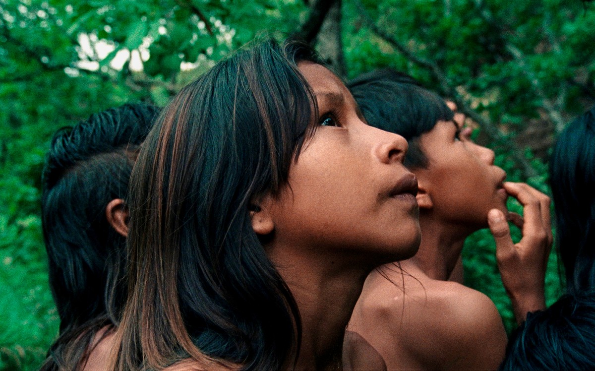 Immagine da CHROWRÃ – THE BURITI FLOWER